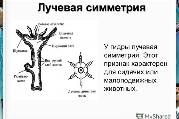 Магазин кракен даркнет сайт