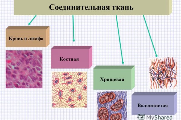 Кракен krakens13 at